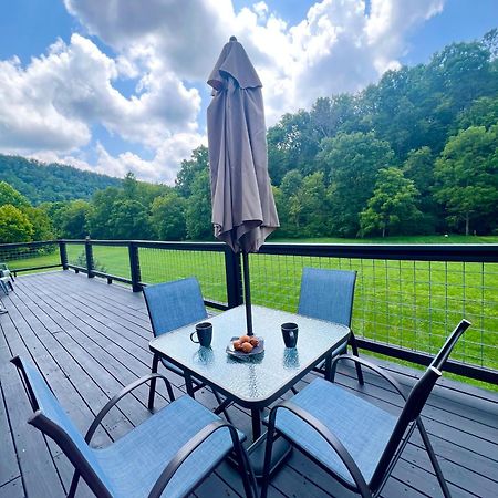 Firefly Fields 2-Acres With Guest House, Game Room, Mountain & River Views 塞维尔维尔 外观 照片